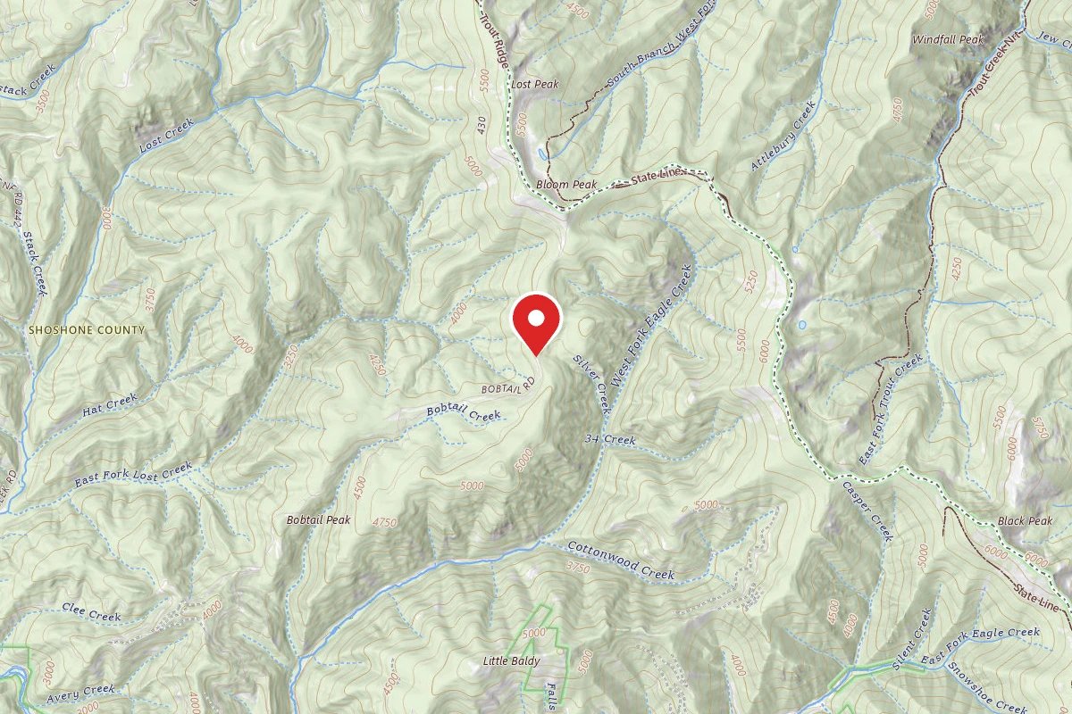Idaho Panhandle Dispersed Campsite 978MM11.35
