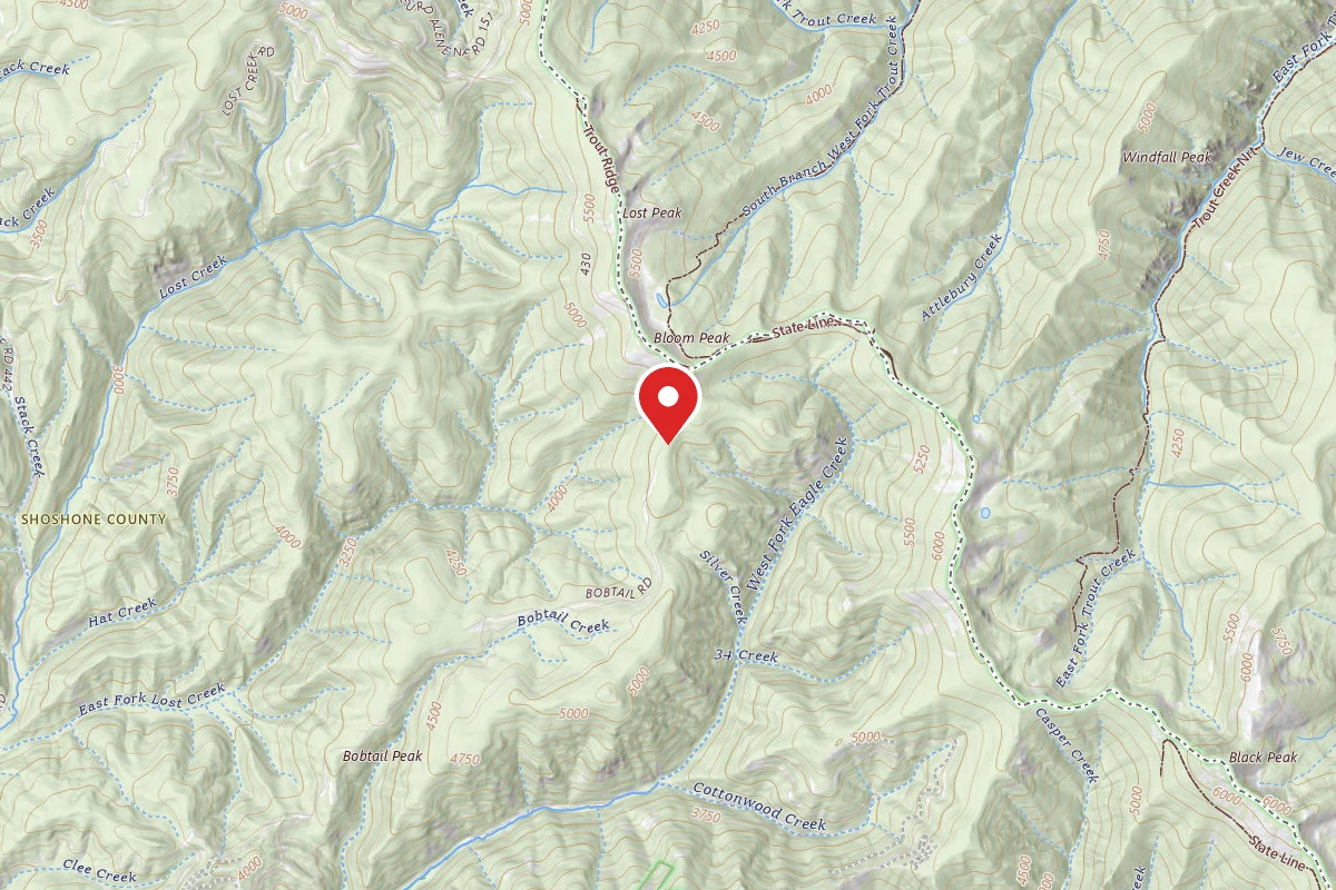 Idaho Panhandle Dispersed Campsite 978 MM12.2A