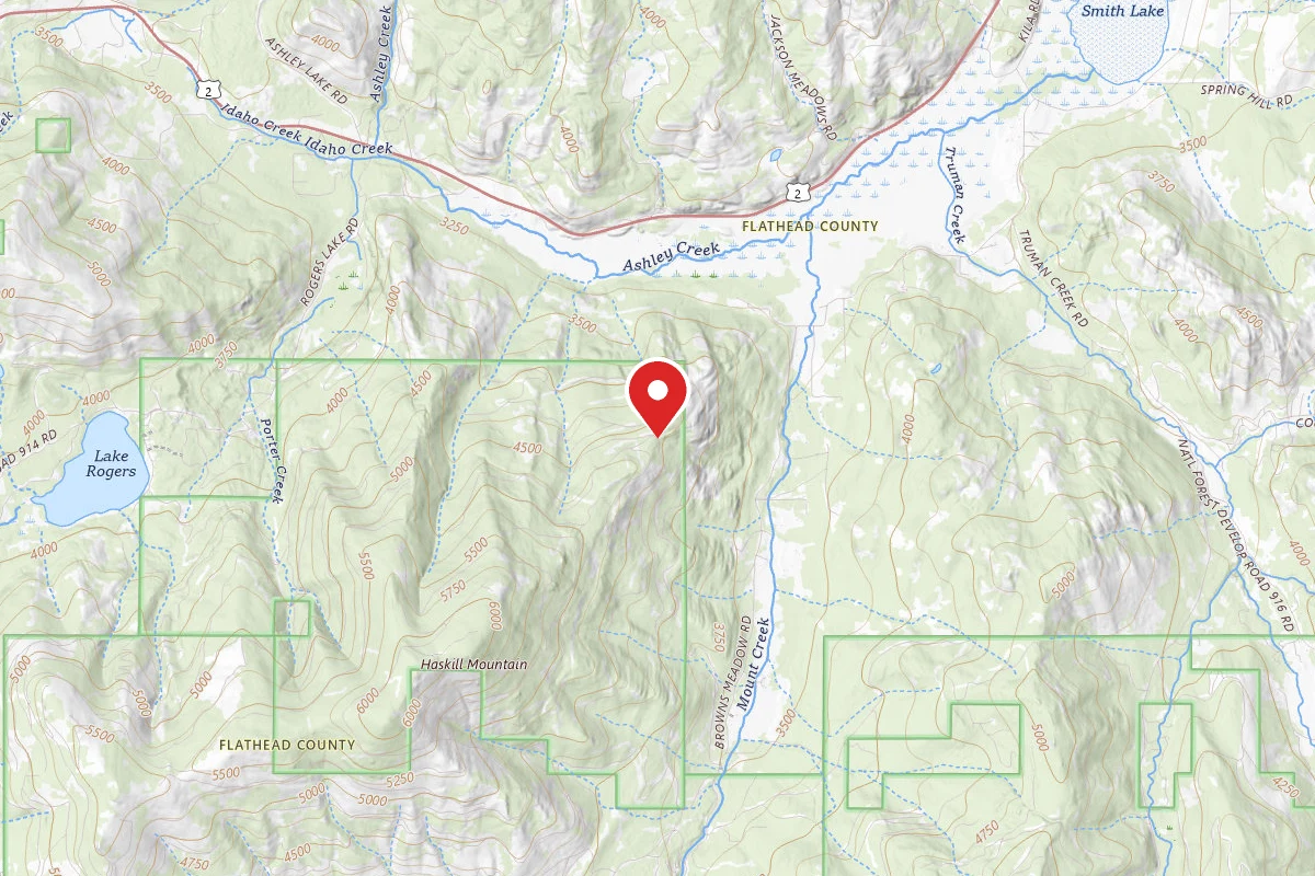 Flathead Dispersed Campsite ROAD 2984-2
