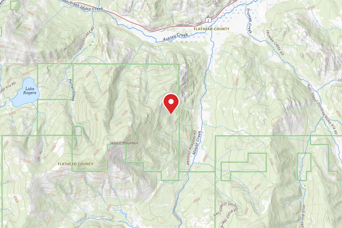 Flathead Dispersed Campsite ROAD 2984-3