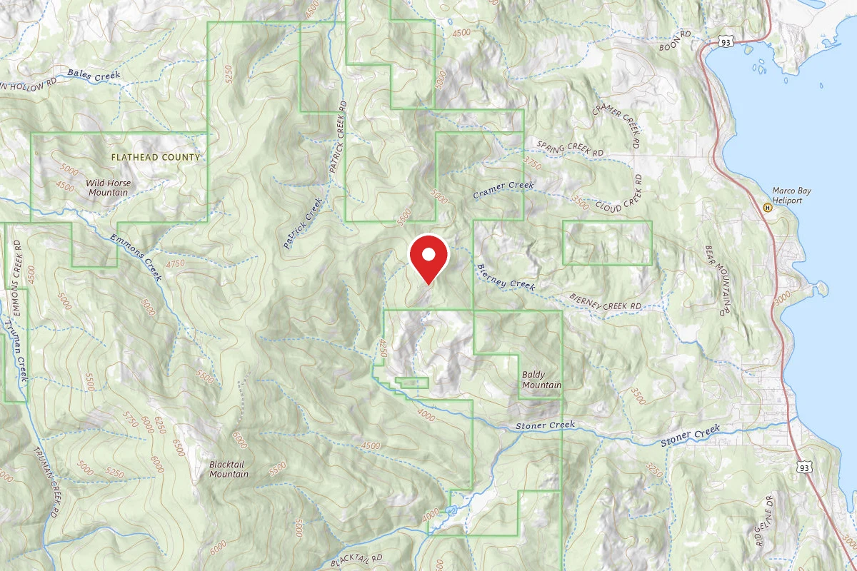 Flathead Dispersed Campsite ROAD 2965