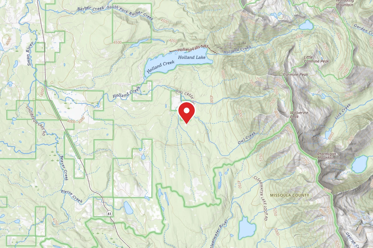Flathead Dispersed Campsite ROAD 9561-1