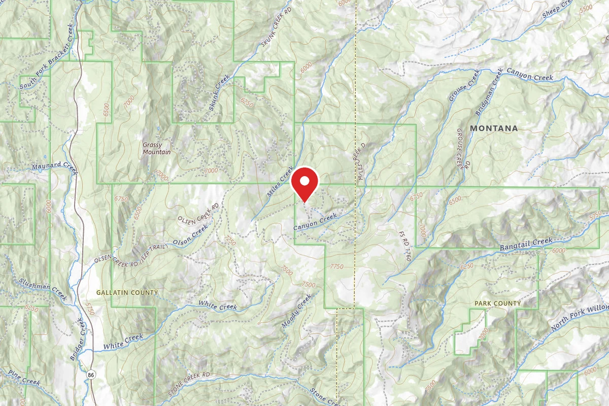 Custer Gallatin Dispersed Campsite FR1706-02