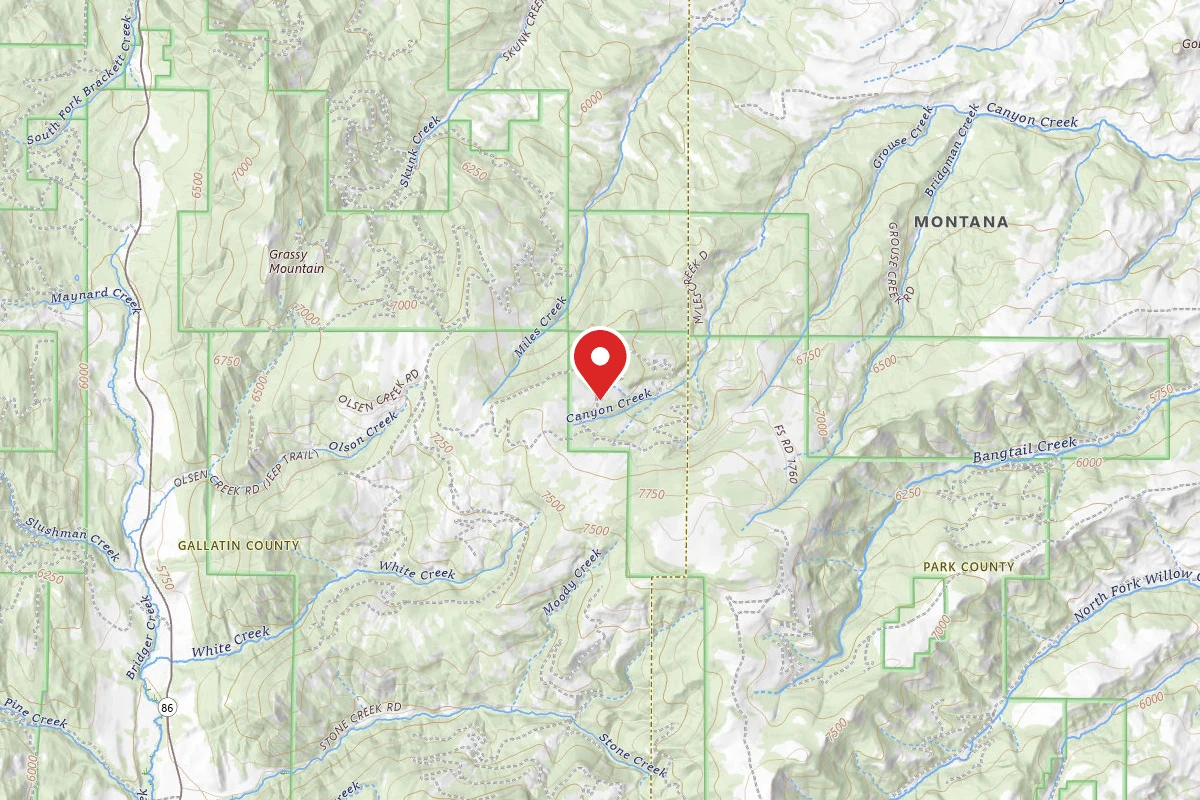 Custer Gallatin Dispersed Campsite FT507-01