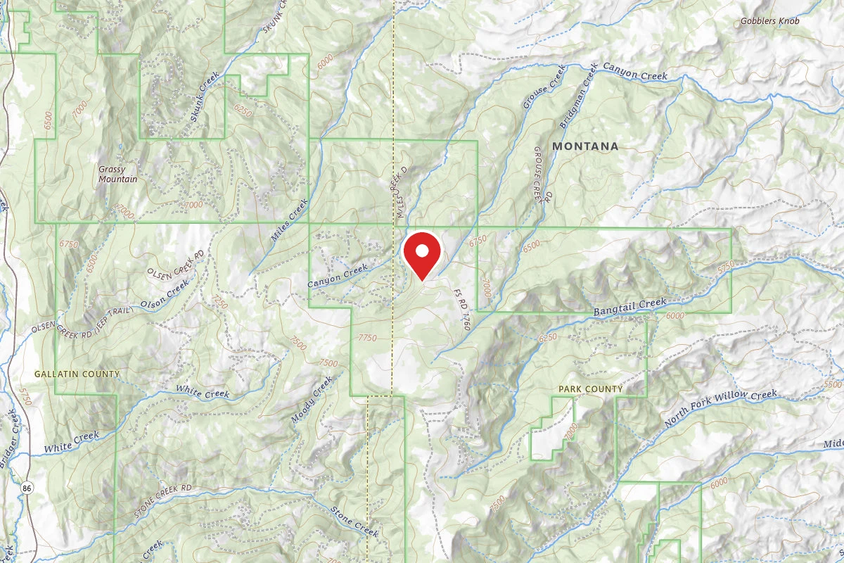 Custer Gallatin Dispersed Campsite FR1706-04B