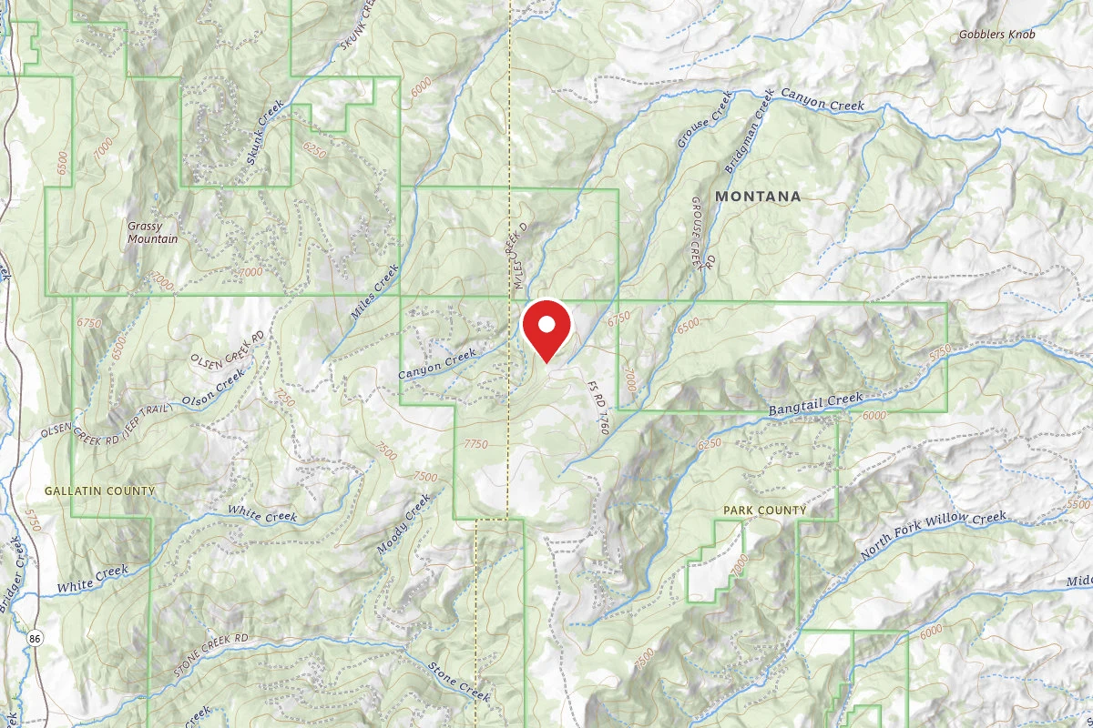 Custer Gallatin Dispersed Campsite FR1706-04C