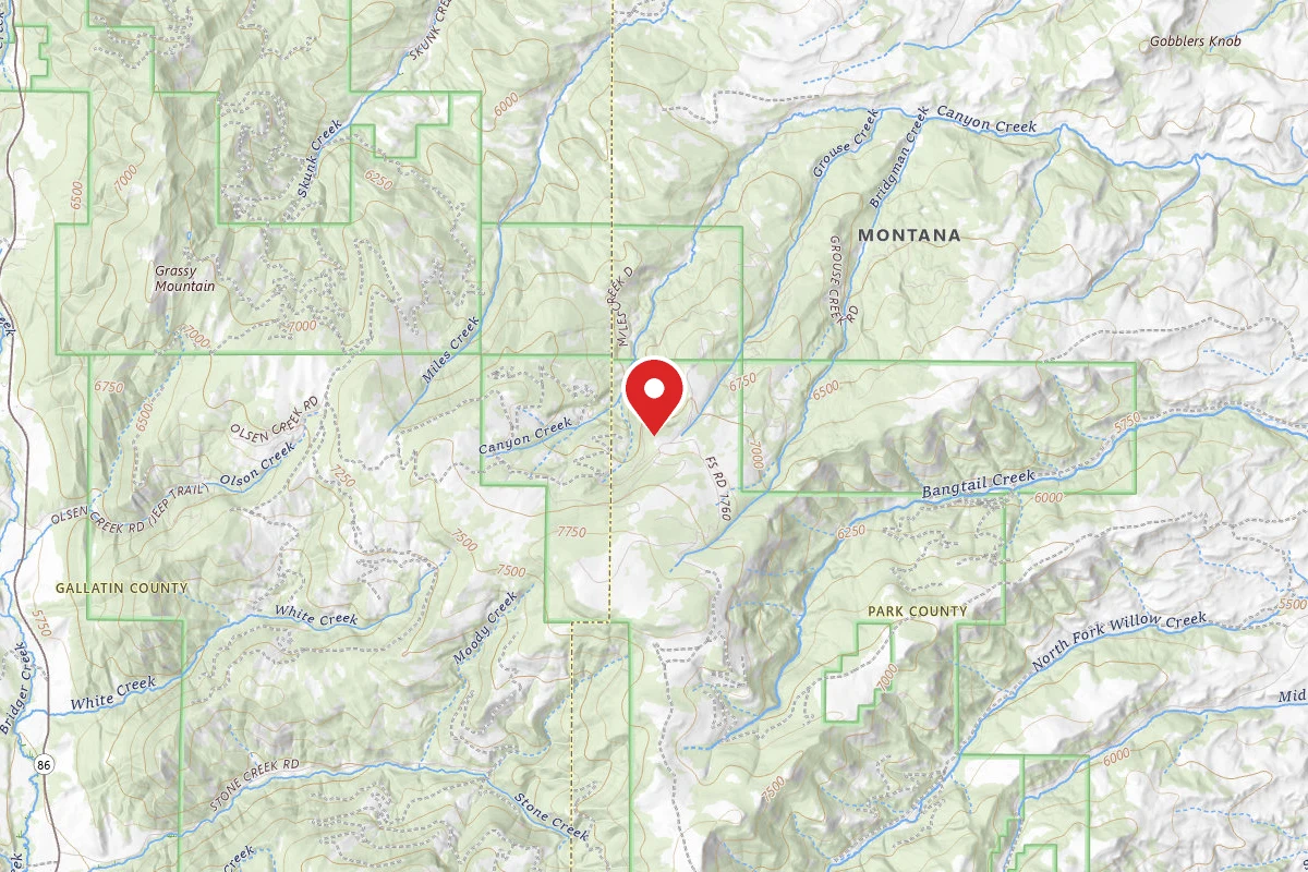 Custer Gallatin Dispersed Campsite FR1706-04D