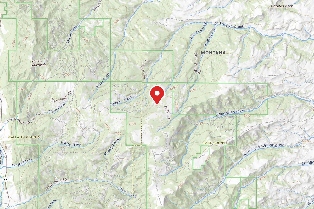 Custer Gallatin Dispersed Campsite FR1706-05
