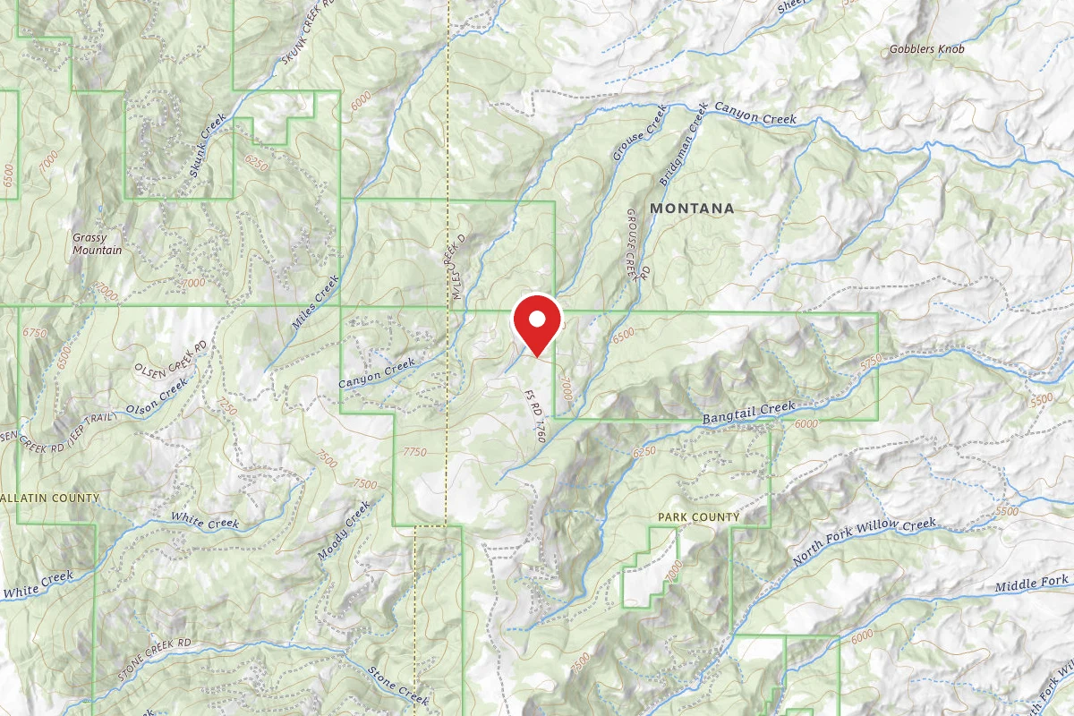 Custer Gallatin Dispersed Campsite FR1742-01