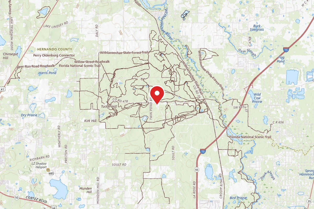 Croom B Loop Primitive Site