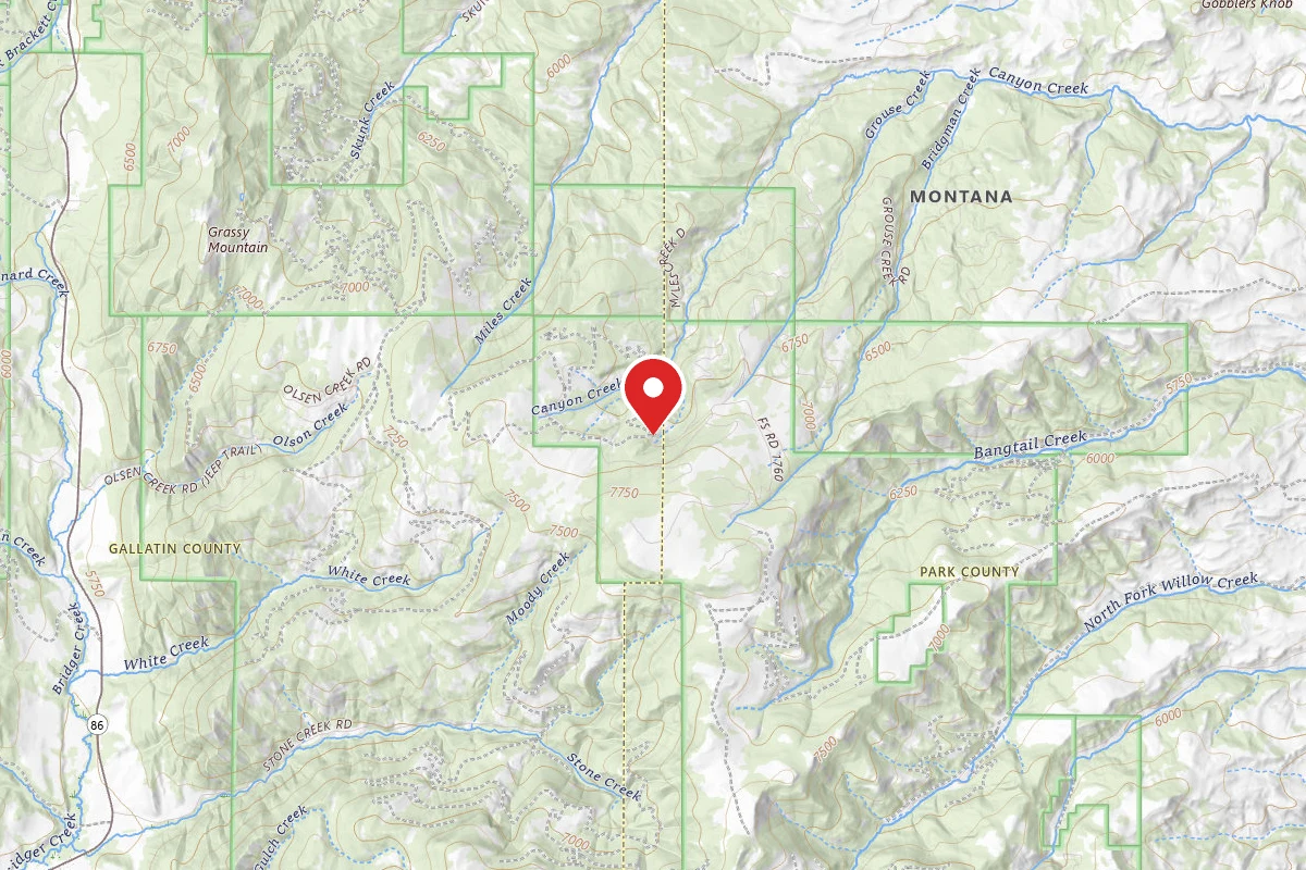Custer Gallatin Dispersed Campsite FT507-02