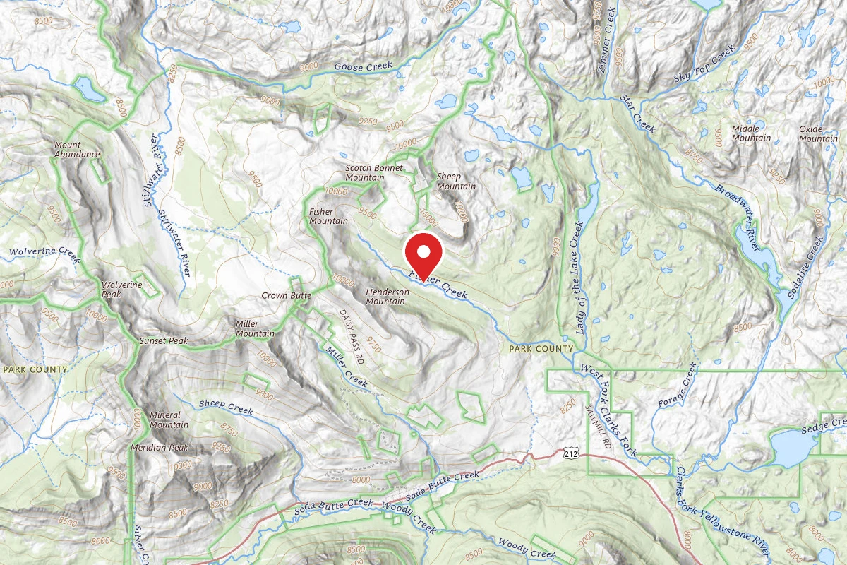 Custer Gallatin Dispersed Campsite LULU-013