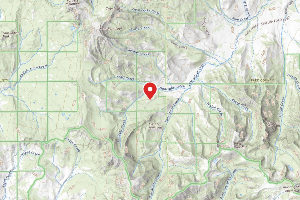 Custer Gallatin Dispersed Campsite SUNLIGHT 003