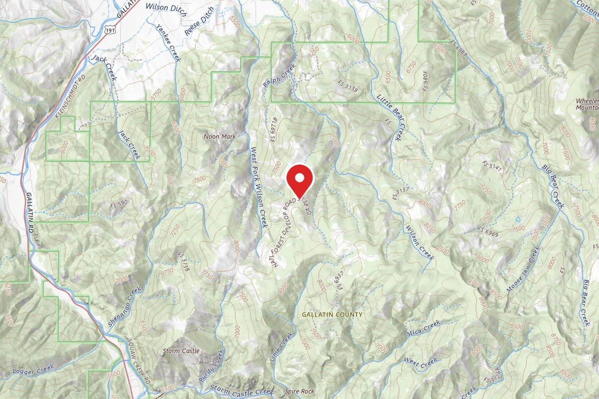Custer Gallatin Dispersed Campsite FR3138-09 WILSON CK LOOP TRLHD