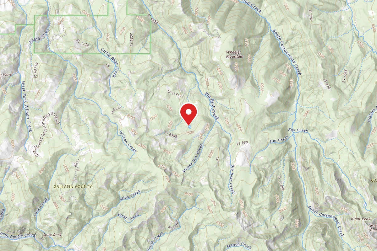 Custer Gallatin Dispersed Campsite FR6969-12