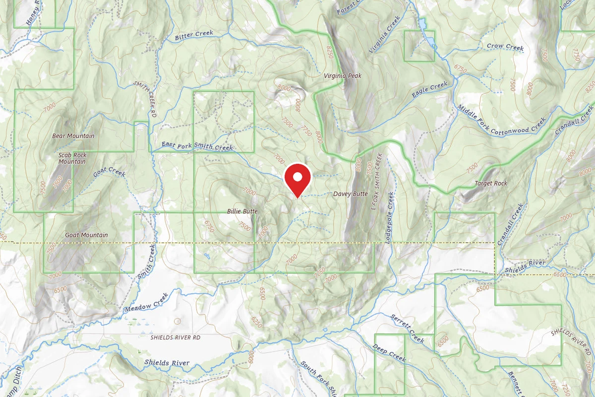 Custer Gallatin Dispersed Campsite ESMITHCR1