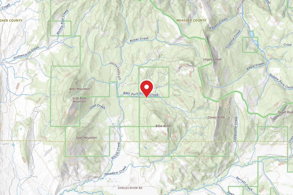 Custer Gallatin Dispersed Campsite ESMITHCR2