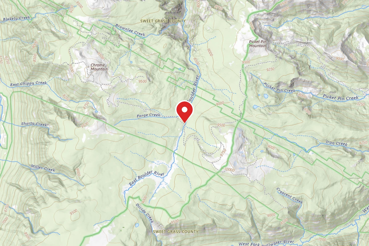 Custer Gallatin Dispersed Campsite PPIN1A