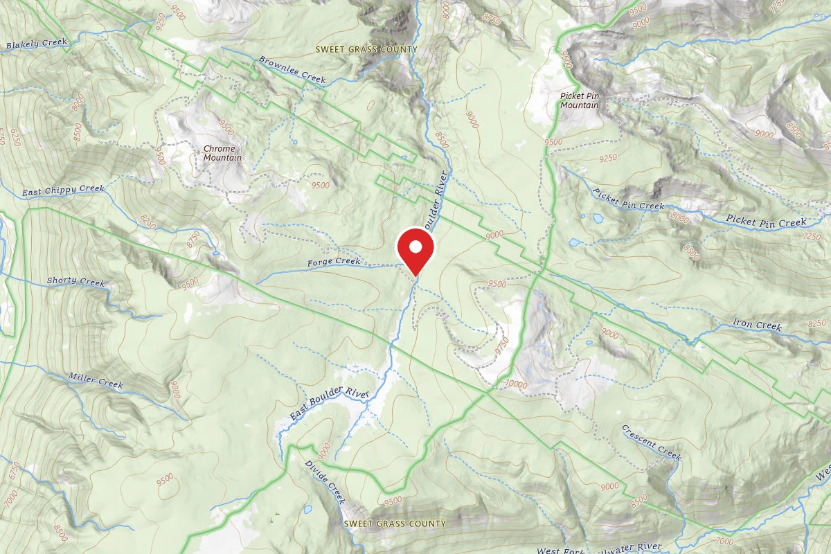 Custer Gallatin Dispersed Campsite PPIN1B