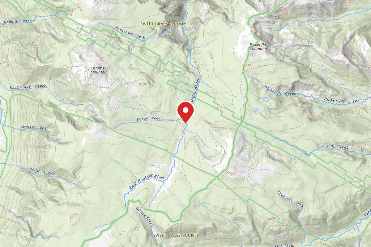 Custer Gallatin Dispersed Campsite PPIN1C