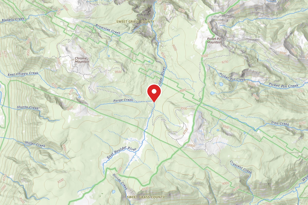 Custer Gallatin Dispersed Campsite PPIN1D