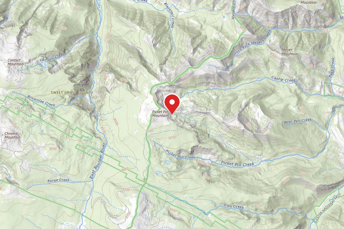 Custer Gallatin Dispersed Campsite PPIN01
