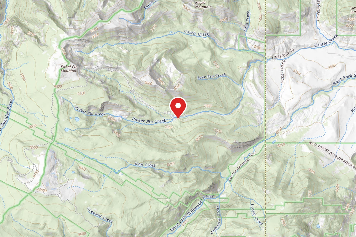 Custer Gallatin Dispersed Campsite PPIN05