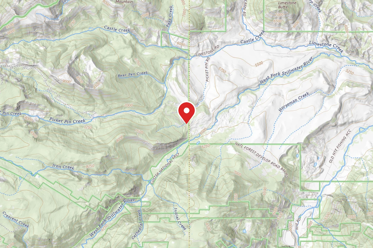 Custer Gallatin Dispersed Campsite PPIN07A