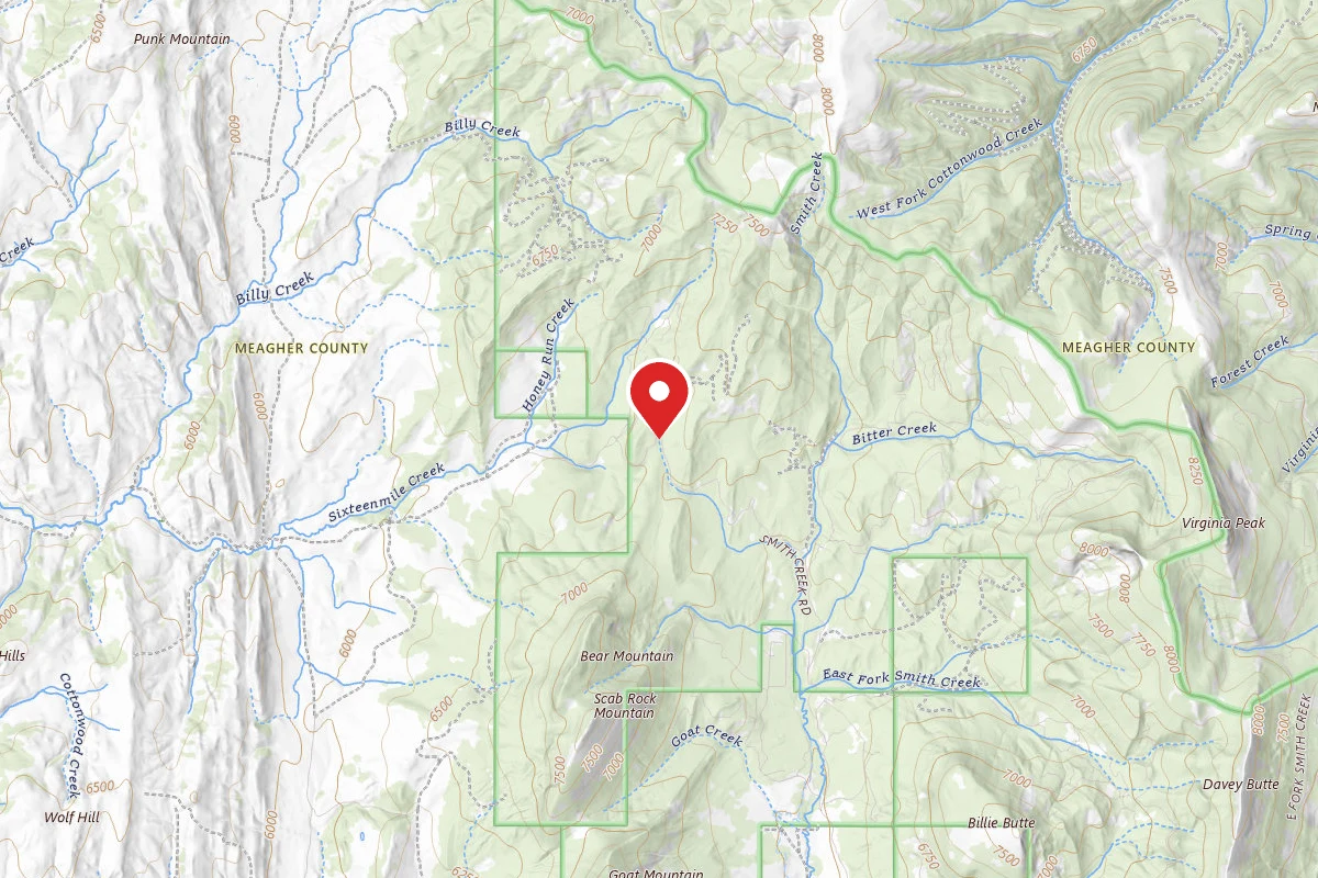 Custer Gallatin Dispersed Campsite NCRAZY1