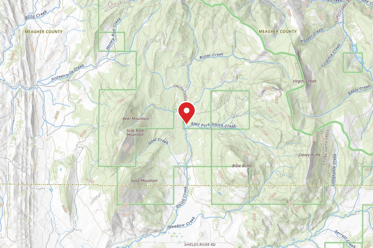 Custer Gallatin Dispersed Campsite NCRAZY4