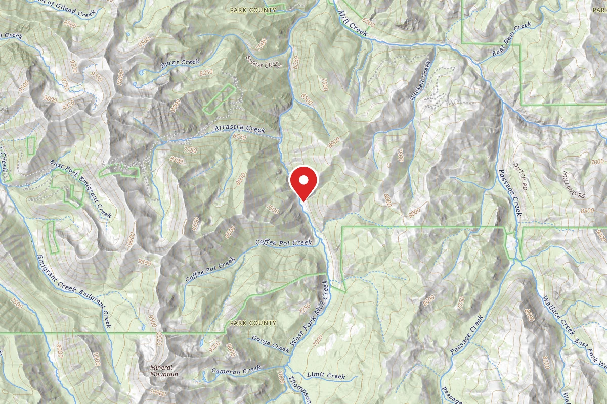 Custer Gallatin Dispersed Campsite WMILLCR99