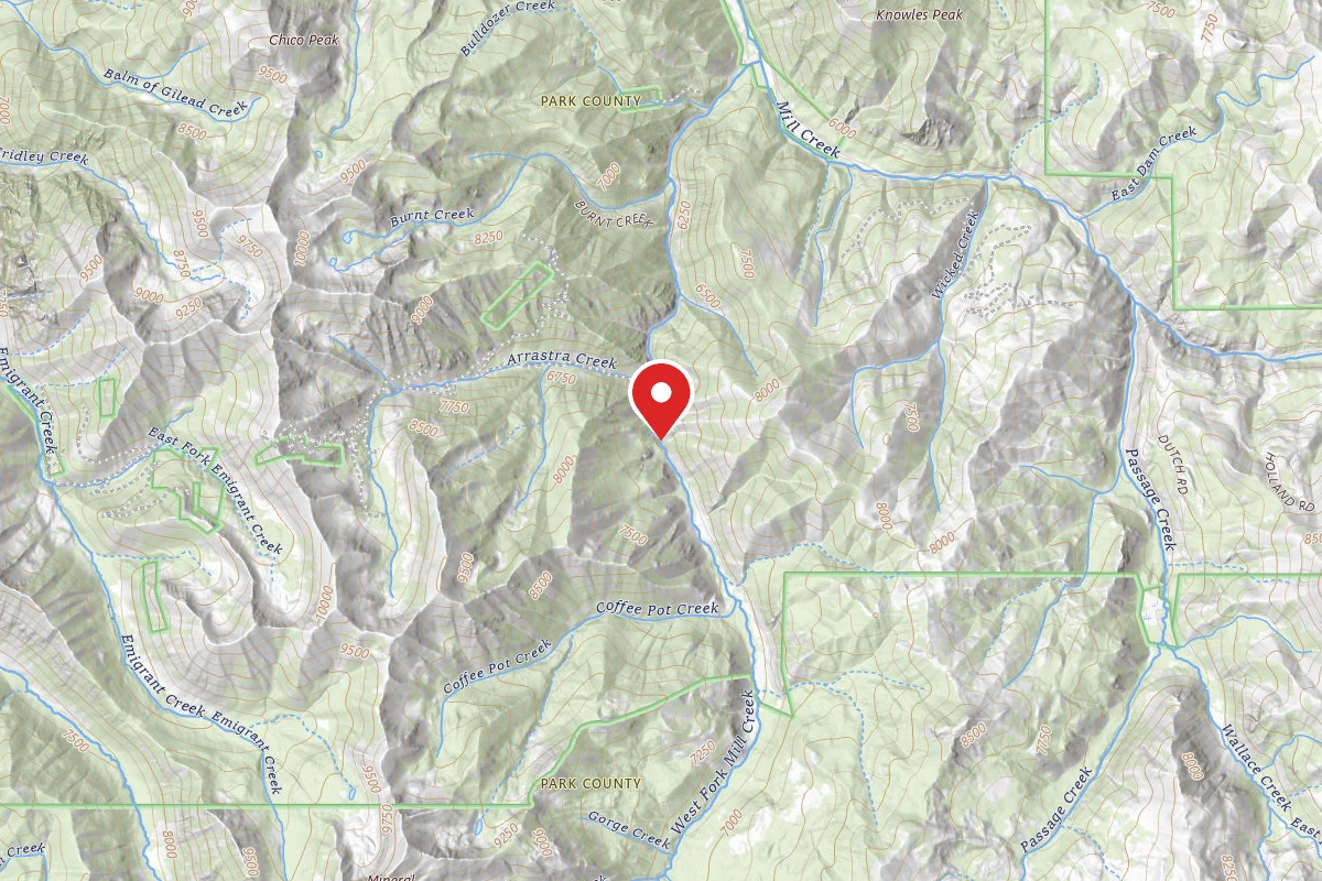 Custer Gallatin Dispersed Campsite WMILLCR98
