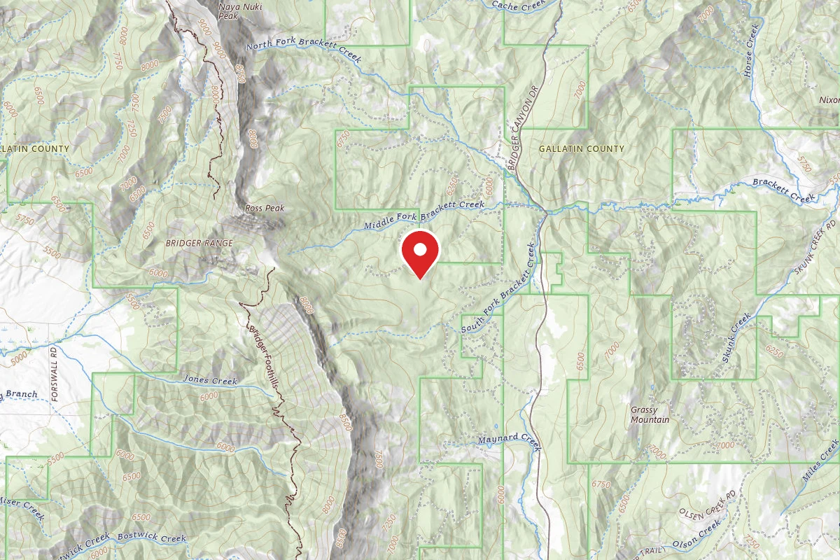Custer Gallatin Dispersed Campsite FR631-06