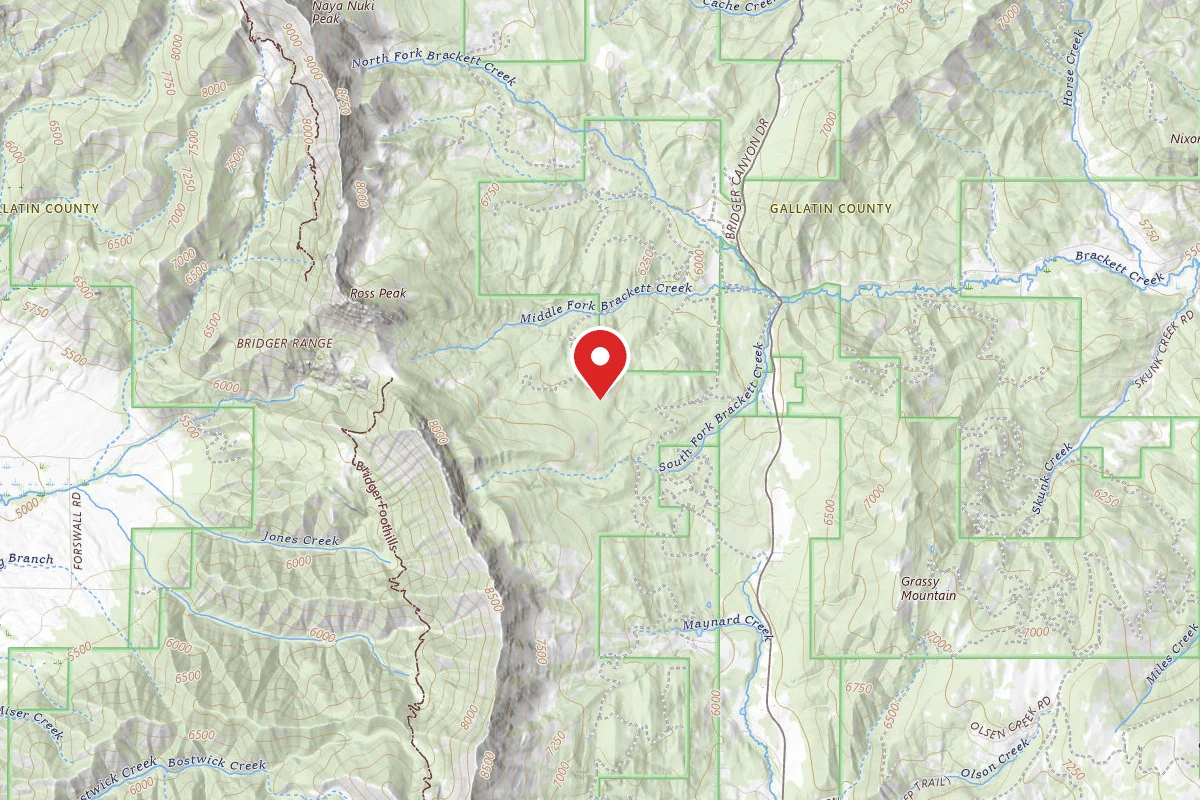 Custer Gallatin Dispersed Campsite FR631-07