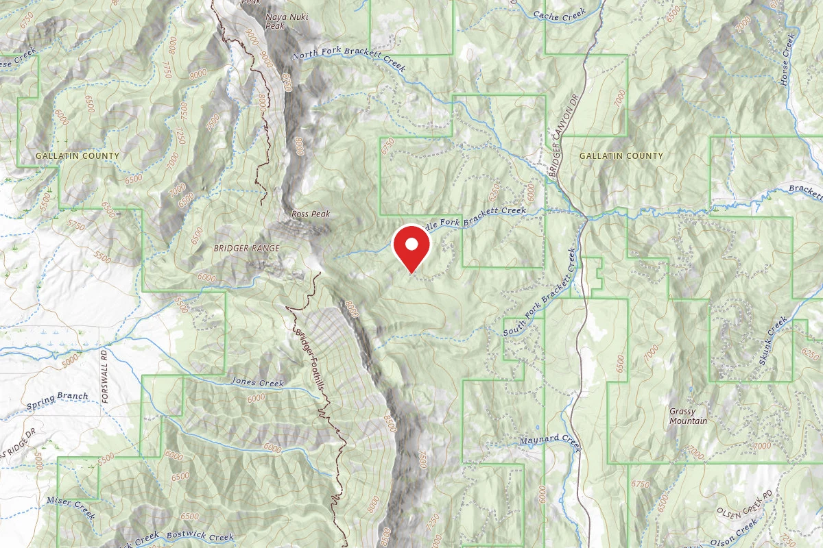 Custer Gallatin Dispersed Campsite FR631-09