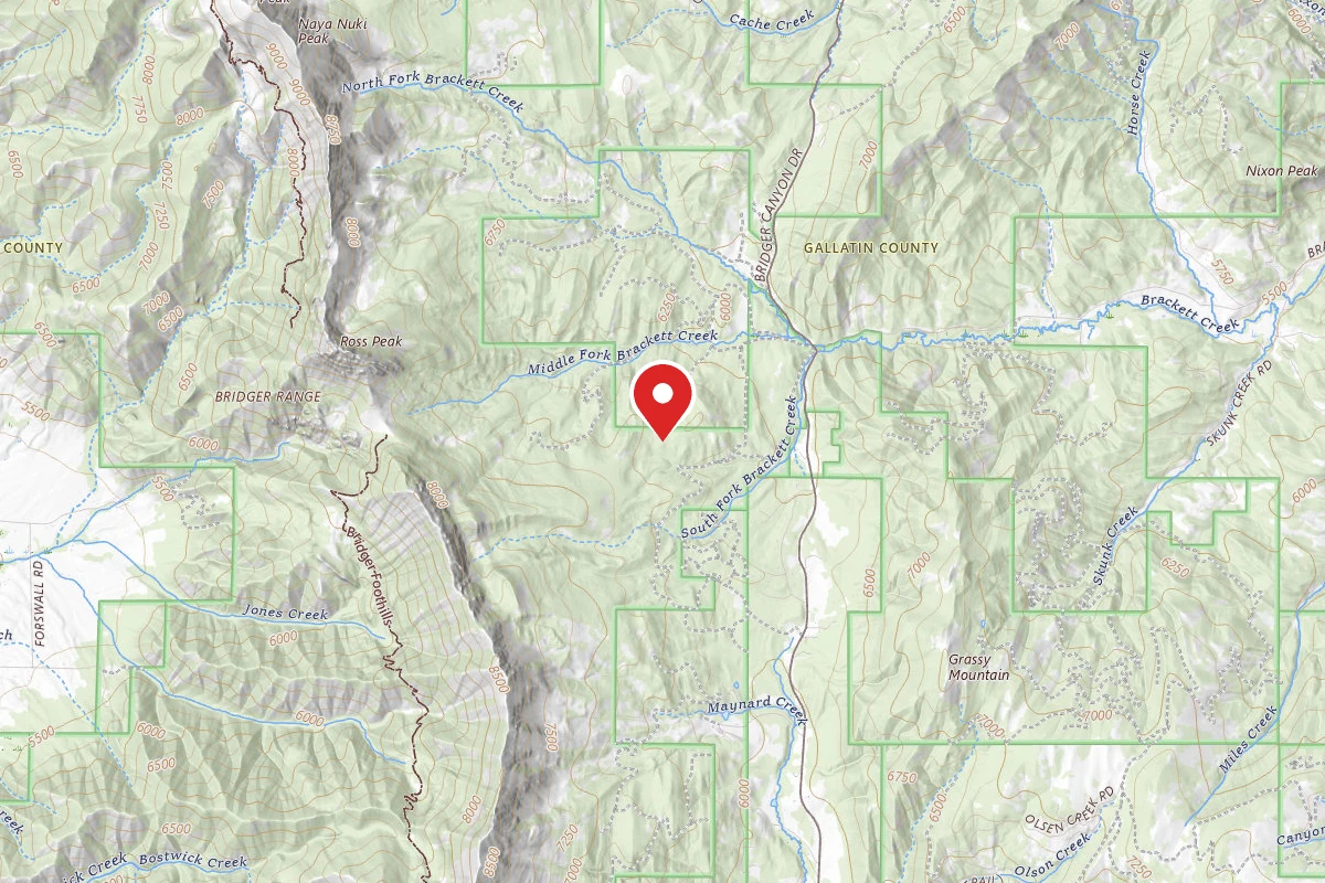 Custer Gallatin Dispersed Campsite FR631-11