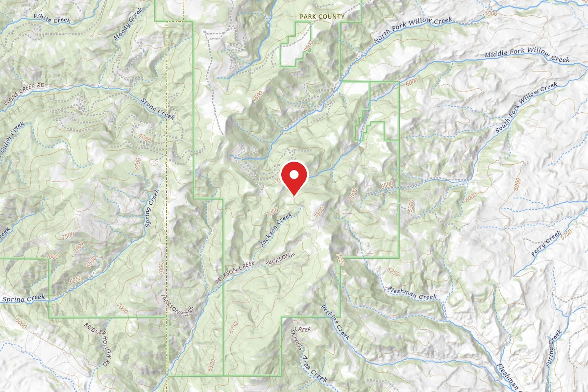 Custer Gallatin Dispersed Campsite FR977-16