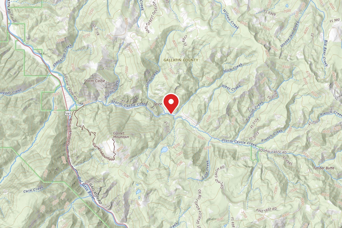 Custer Gallatin Dispersed Campsite FR132-42
