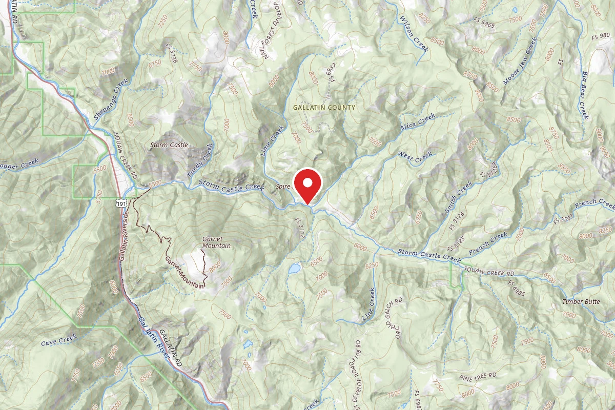 Custer Gallatin Dispersed Campsite FR132-43