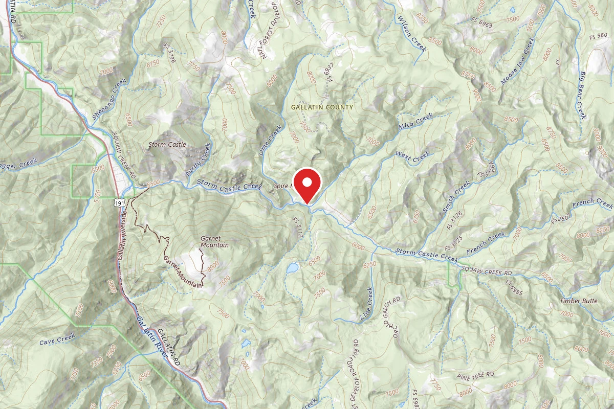 Custer Gallatin Dispersed Campsite FR132-44