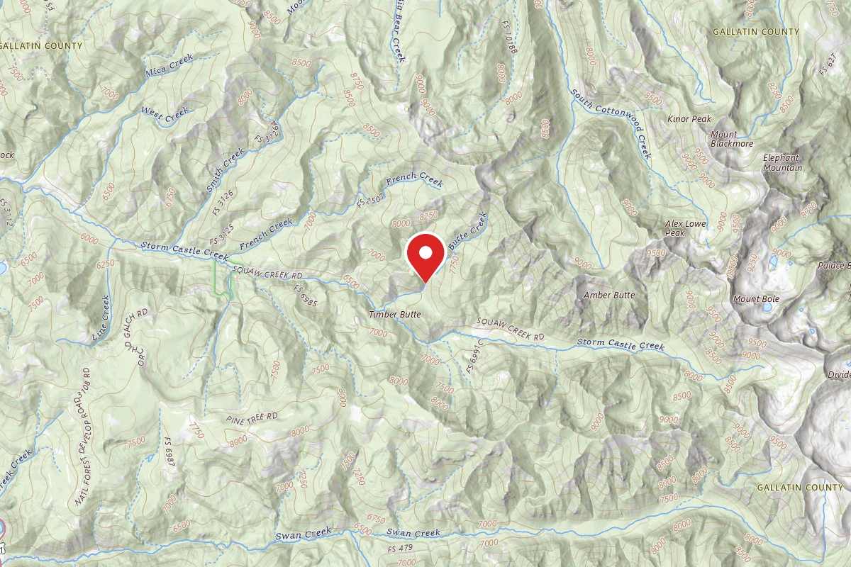 Custer Gallatin Dispersed Campsite FR132-49