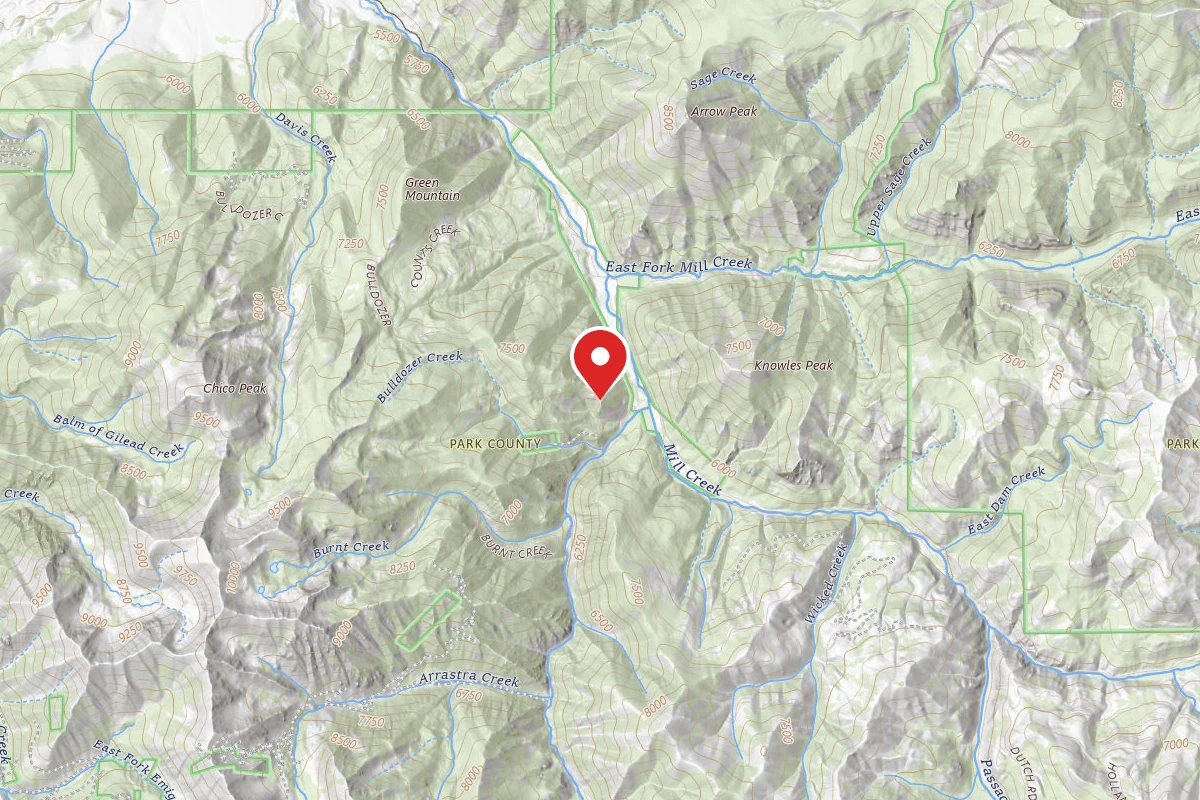 Custer Gallatin Dispersed Campsite BDOZE005
