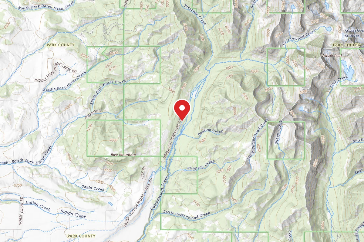 Custer Gallatin Dispersed Campsite CTWOOD009