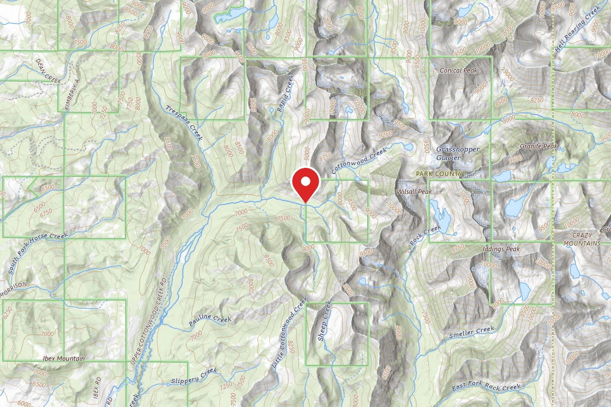 Custer Gallatin Dispersed Campsite CTWOOD010