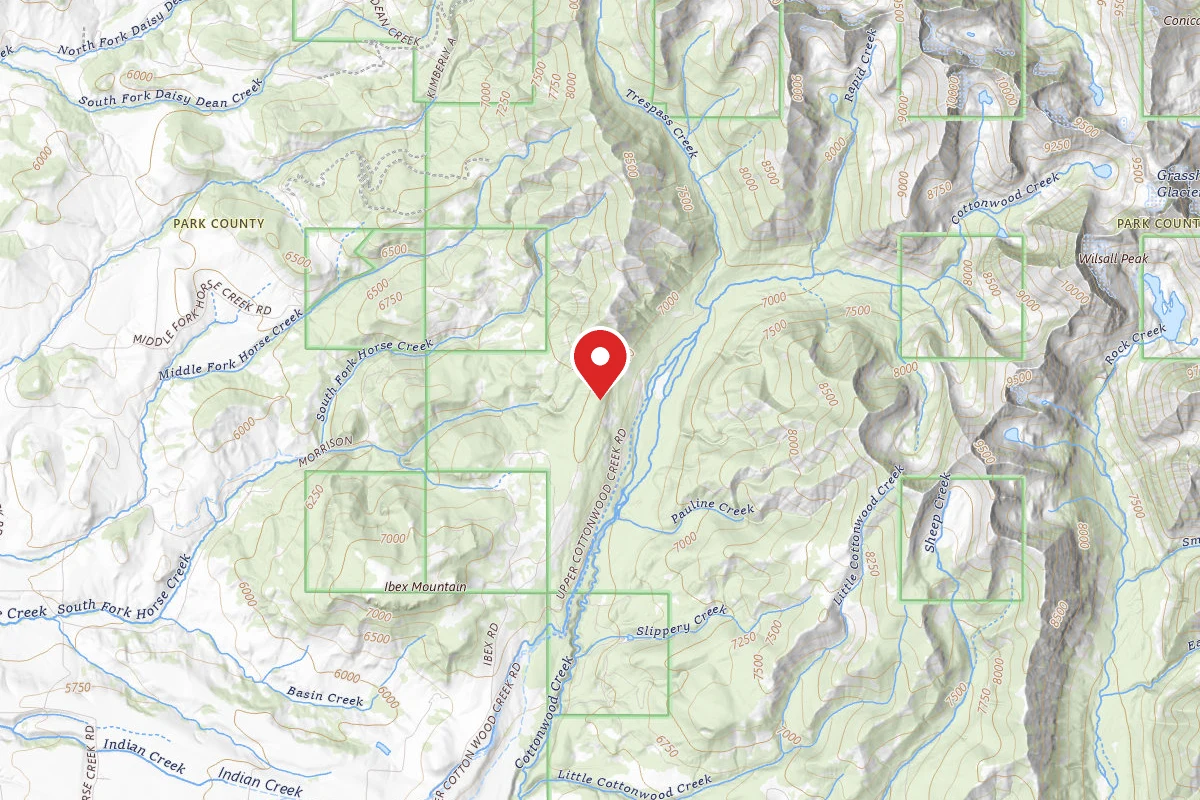 Custer Gallatin Dispersed Campsite CTWOOD011