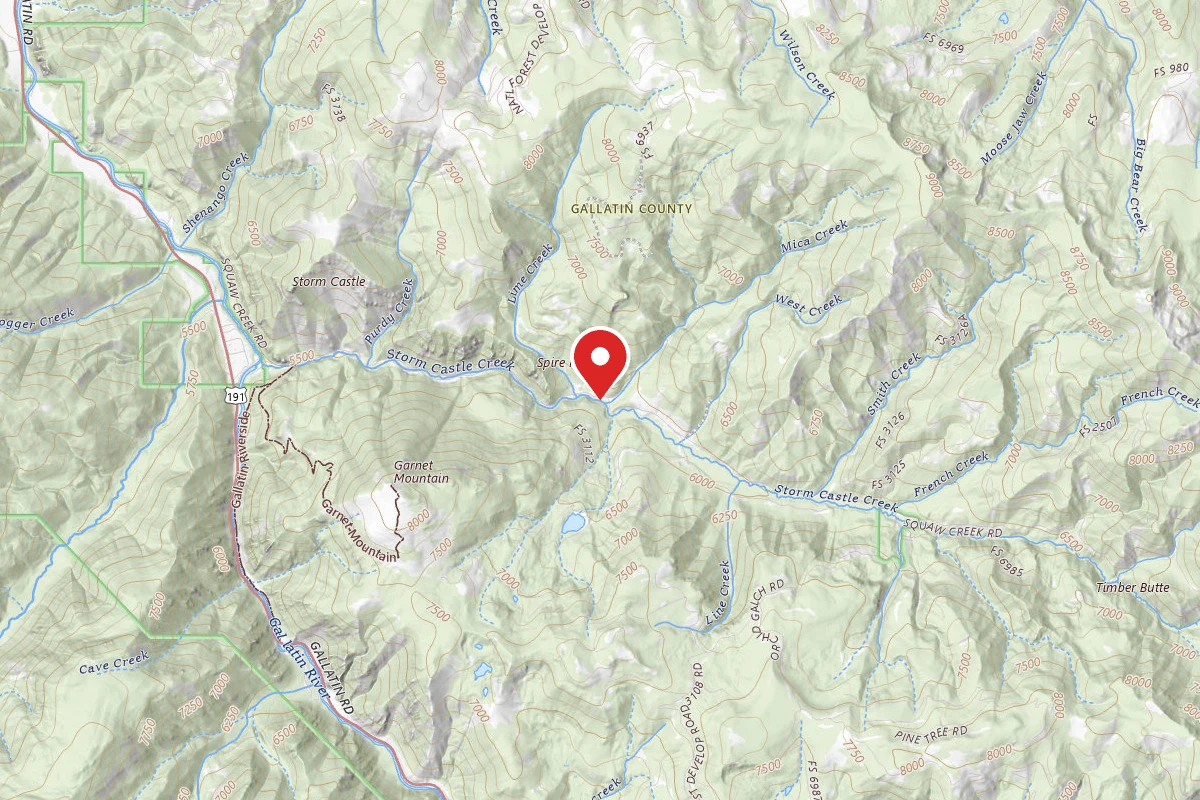 Custer Gallatin Dispersed Campsite FR132-45