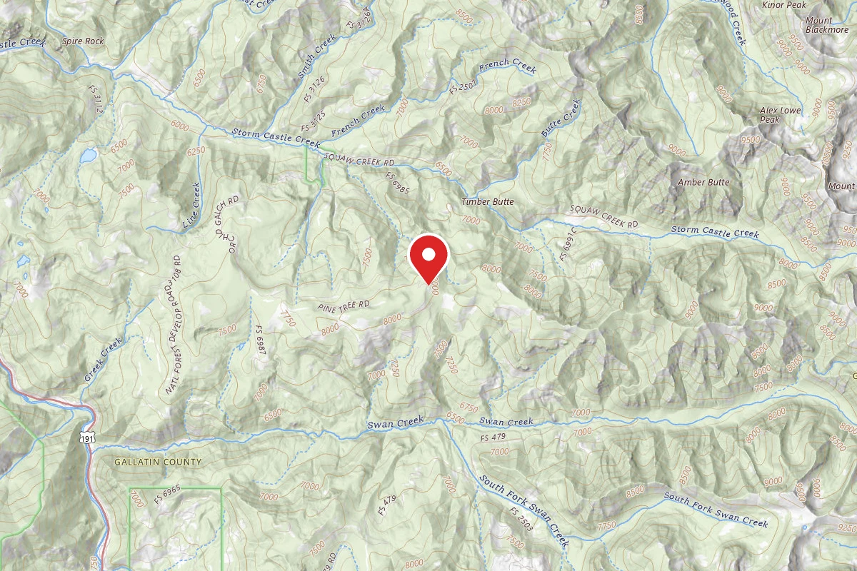 Custer Gallatin Dispersed Campsite FR6901-02