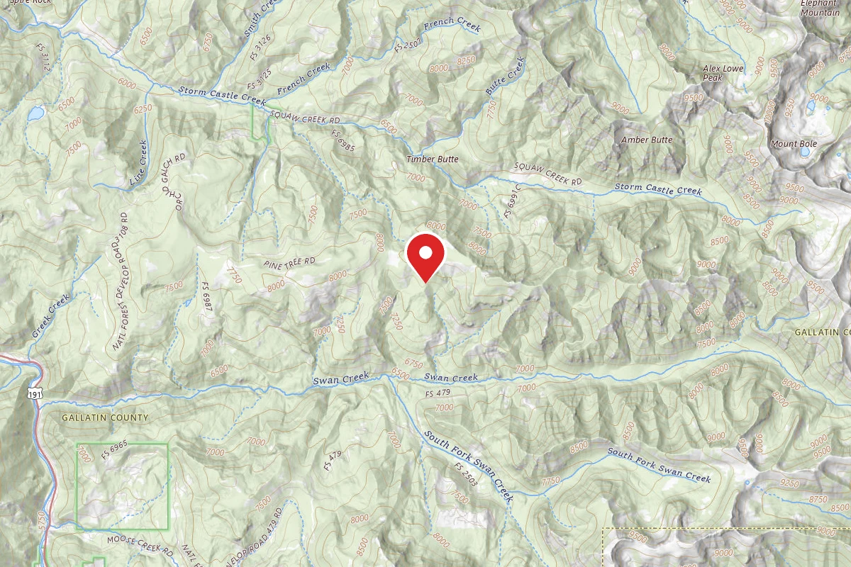 Custer Gallatin Dispersed Campsite FR6970-01