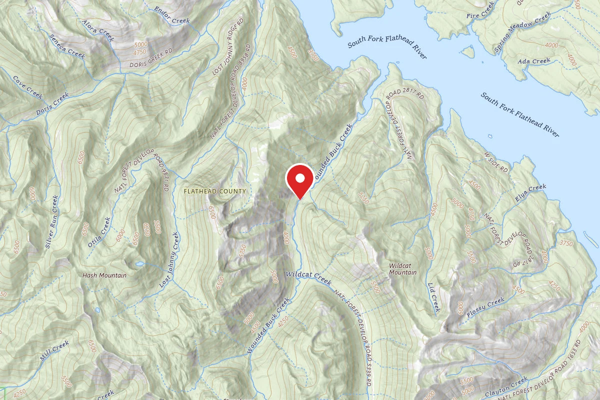 Wounded Buck Creek Dispersed Camp