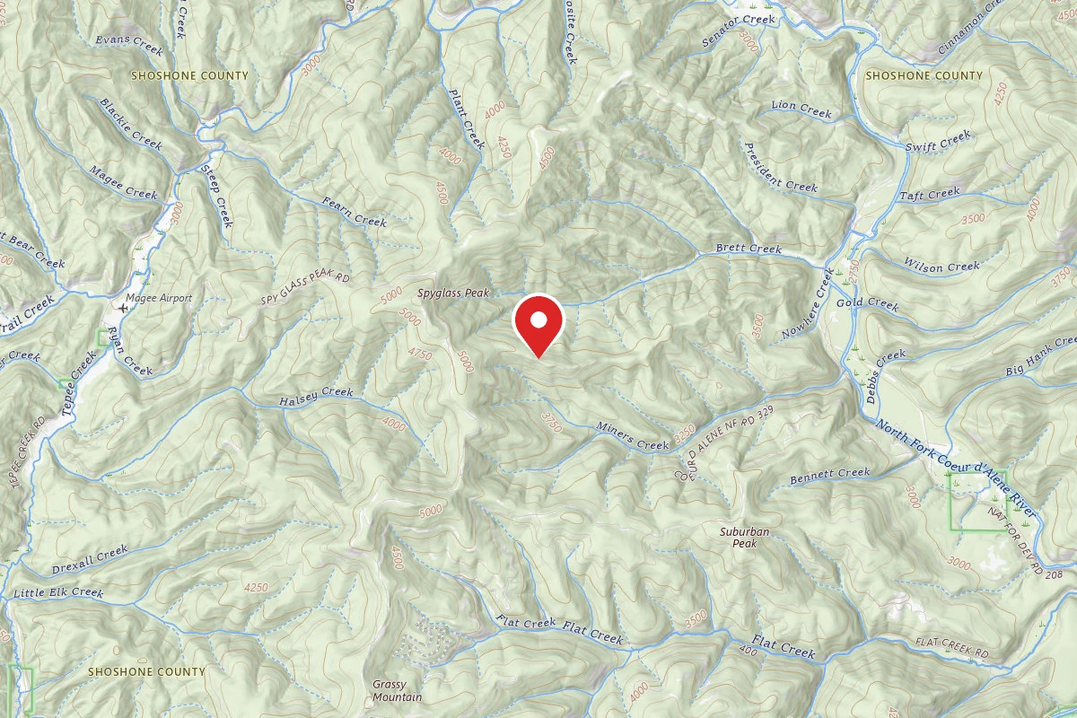 Idaho Panhandle Dispersed Campsite 804 MM 7.1